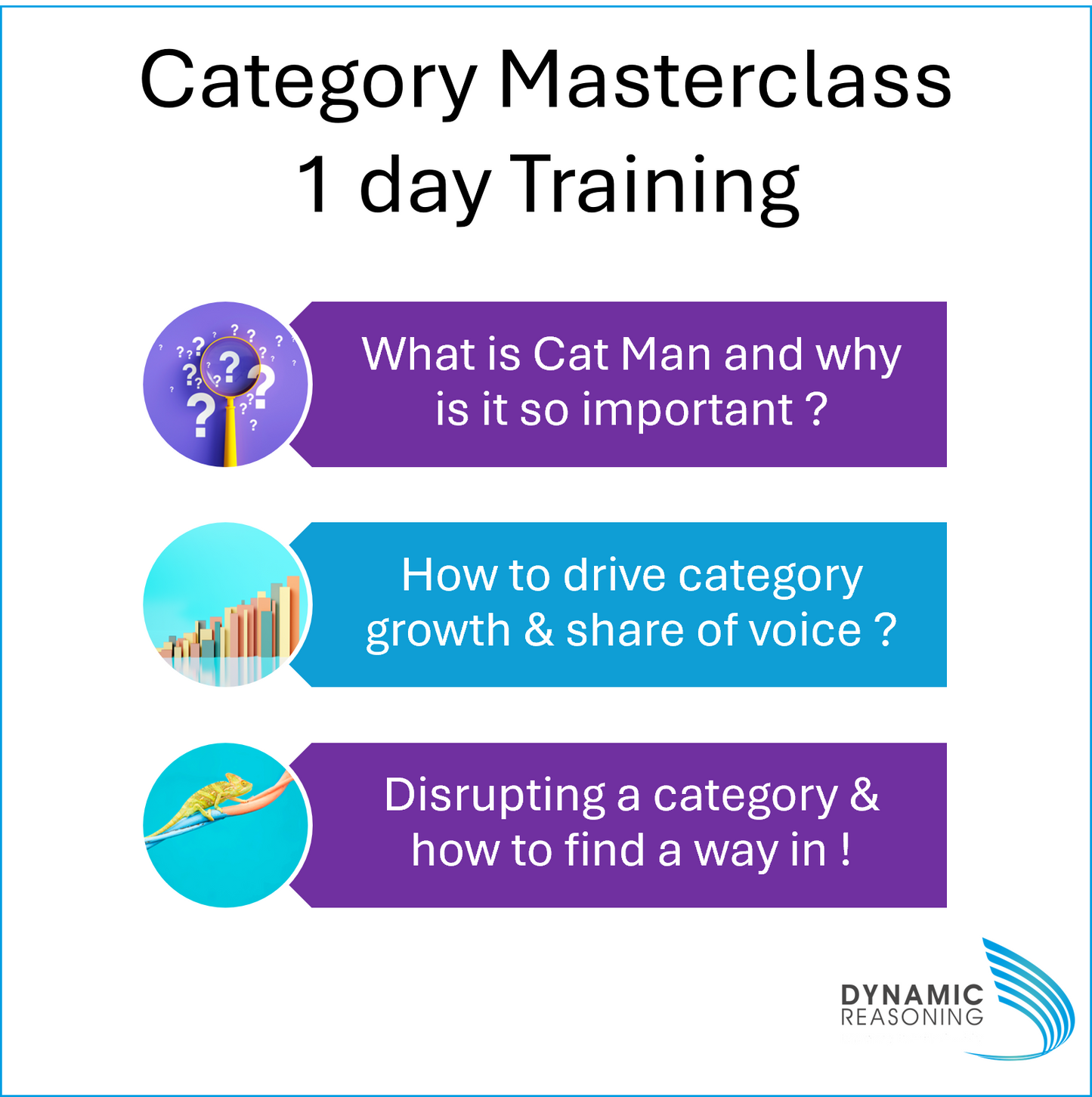 Category masterclass one day training course details | Dynamic Reasoning