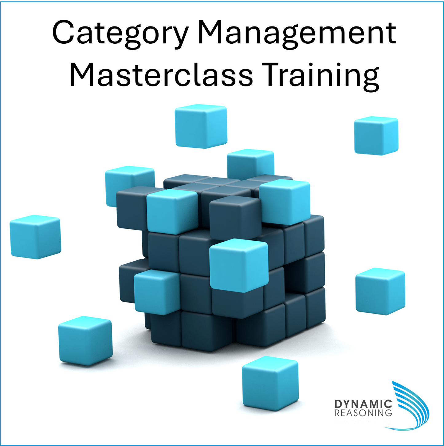 Category management masterclass training | Dynamic Reasoning