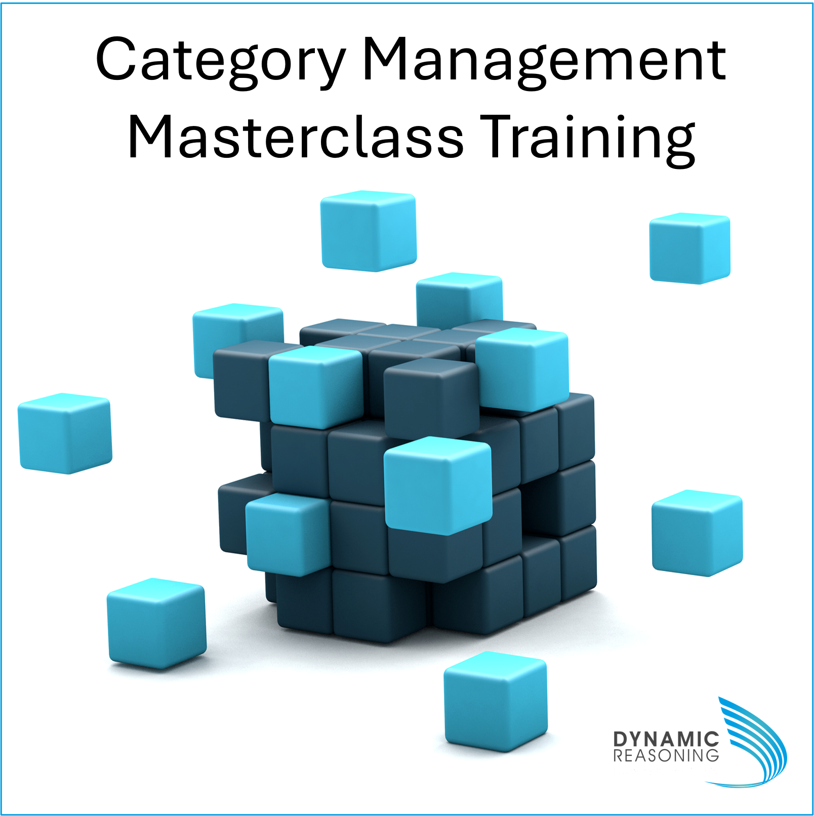 Category management masterclass training | Dynamic Reasoning